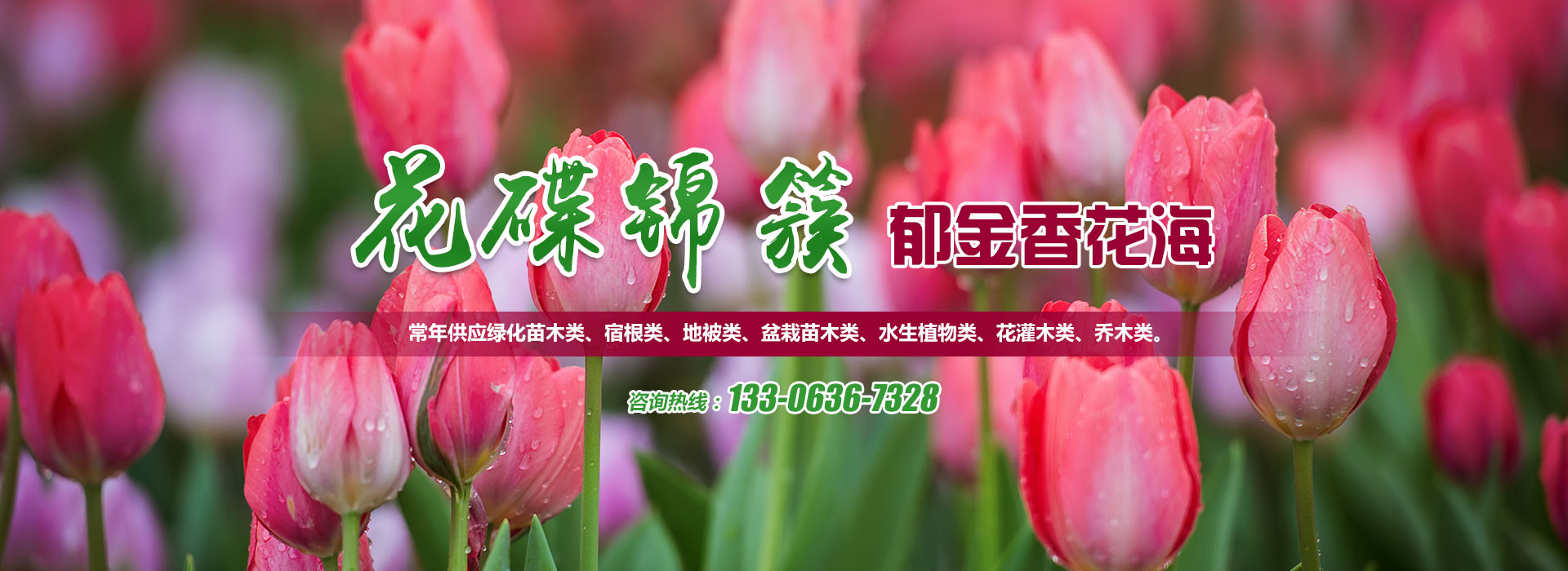 青州市花碟錦簇園林綠化工程有限公司